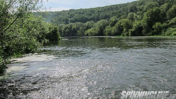 Изображение 1 : Раз Варивас, два Варивас....